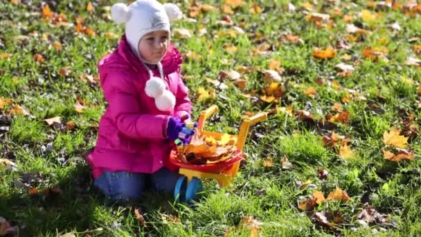 Roztomilá dívka klade listy do košíku — Stock video