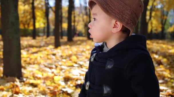 Malý chlapec stojí v sušené listy — Stock video