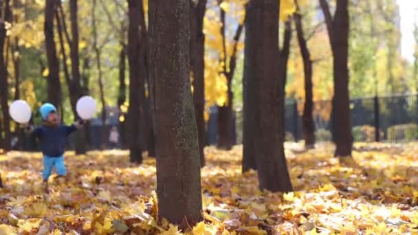 Маленький милий хлопчик з двома повітряними кулями — стокове відео