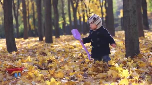 Niño pequeño con cuchara en el parque de otoño — Vídeo de stock