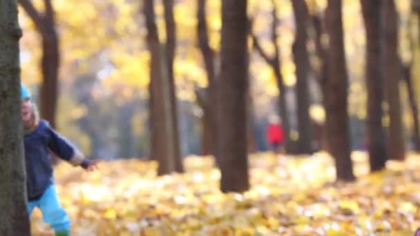 Dos niños felices corren en el parque — Vídeo de stock