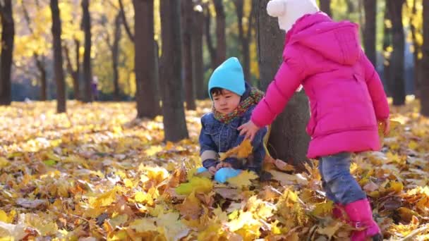 Niño y niña lanza hojas — Vídeos de Stock