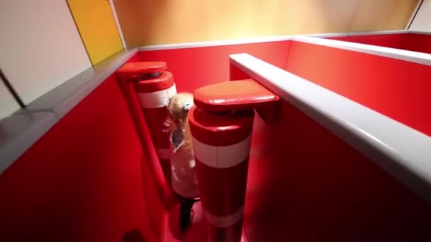 Kis boldog lány piros labirintus — Stock videók