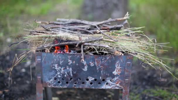 Fuego en madera de pincel y hierba en brasero — Vídeos de Stock
