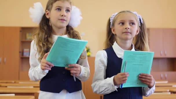 Two girls stand in classroom — Stock Video