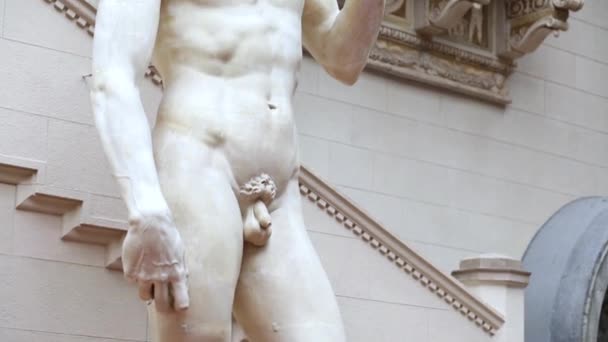 Sculpture copy of Michelangelo David — Stock Video