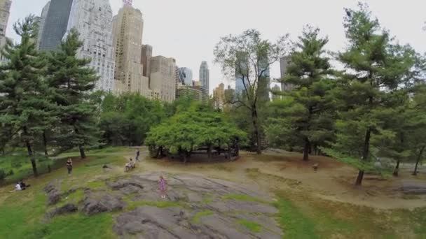 Ludzie się odpoczynek w Central Park — Wideo stockowe