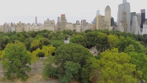 Городской пейзаж с небоскребами и людьми — стоковое видео