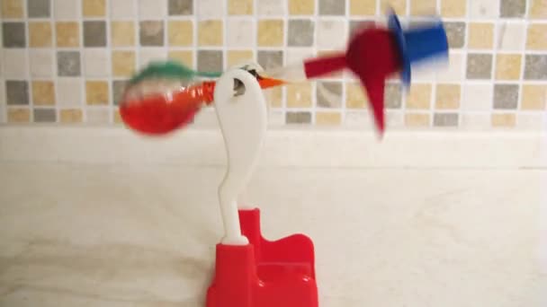 Brinquedo infantil Beber Pássaro — Vídeo de Stock