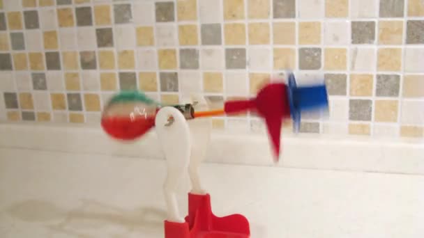 Детская игрушка "Питьевая птица" — стоковое видео