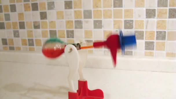 Childrens toy Drinking Bird — Stock Video