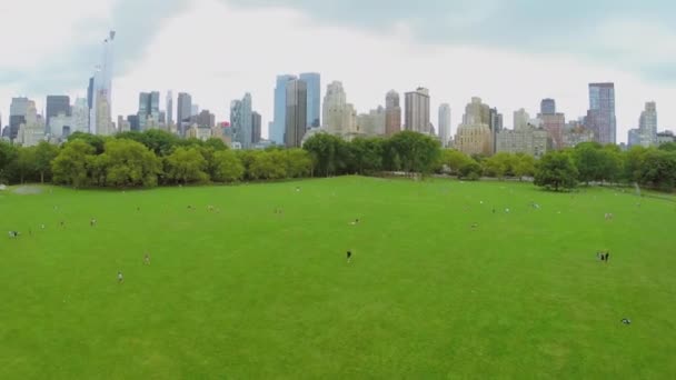 Central Park mit vielen Menschen — Stockvideo