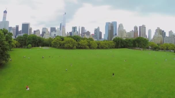 Viele Menschen auf der Schafwiese — Stockvideo