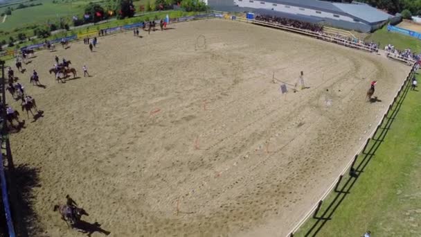 Kosaken tricksen auf Pferden in der Manege — Stockvideo