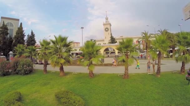 People walk near palms — Stock Video