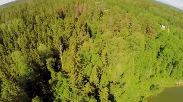 Skogen runt byn nära pond — Stockvideo