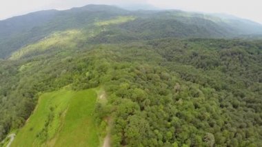 Dağ scape ile çay plantasyon Panoraması 