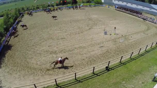 Cavaleiros fazem truques na arena equestre — Vídeo de Stock