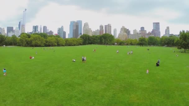 Menschen ruhen sich auf Schafswiese aus — Stockvideo