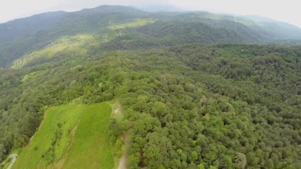 Panorama van berg scape met thee plantage — Stockvideo