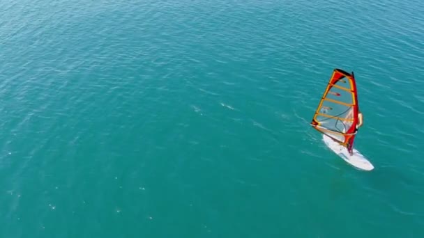 Hombre surfea a bordo con vela — Vídeo de stock