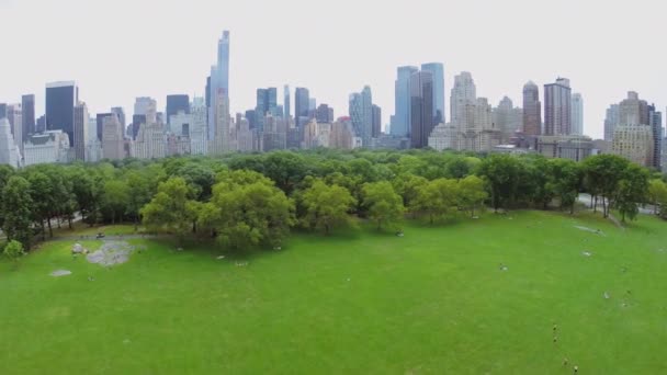 La gente descansa en Sheep Meadow — Vídeos de Stock