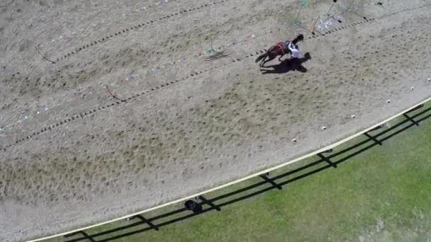 Horsemen make stunts on equestrian arena — Stock Video