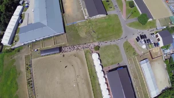 Les touristes s'éloignent de l'arène équestre — Video