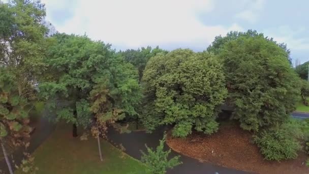 Σοκάκια στο πάρκο Ρίβερσαϊντ — Αρχείο Βίντεο