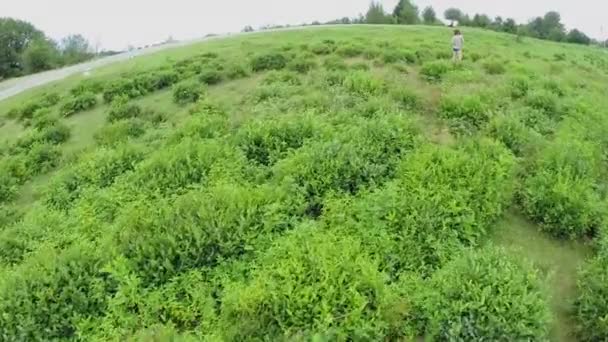 Frau zeigt Teeblätter — Stockvideo