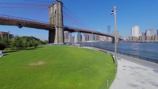 Pradera de hierba cerca del puente de Brooklyn y Manhattan — Vídeos de Stock