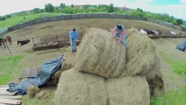 Dos niños juegan en el heno — Vídeo de stock