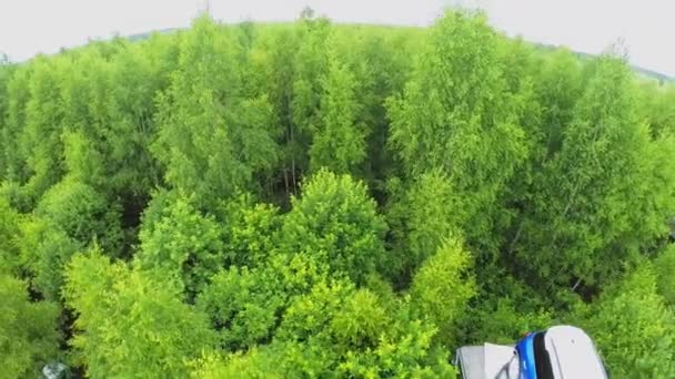Ağaçları arasında Mini cooper — Stok video