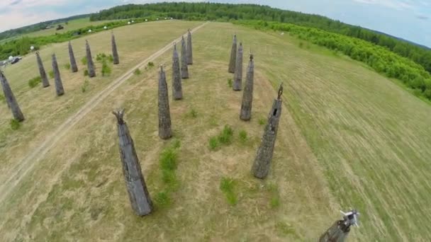 Art installation on field at summer day — Stock Video