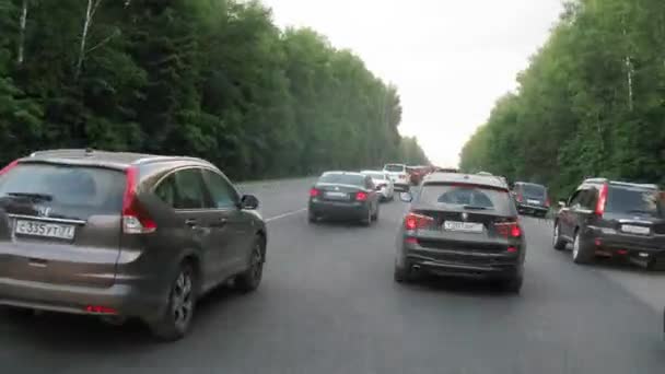 Tráfego rodoviário, ao longo da floresta rodoviária — Vídeo de Stock