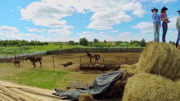 Four people stand on hay — Stock Video