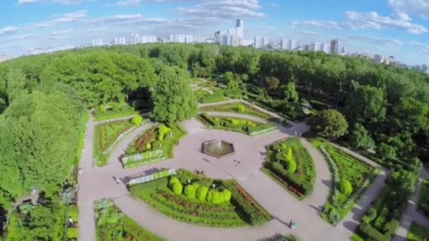 Парк з трояндовим садом і міським пейзажем — стокове відео