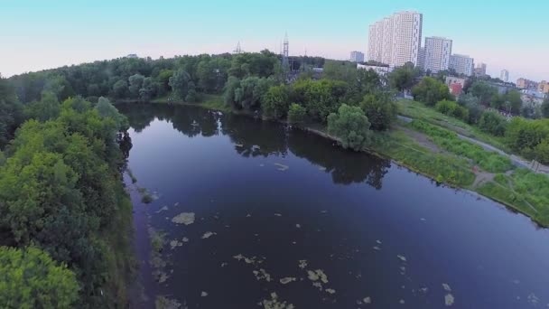 도시에는 연못의 해 안에 식물 — 비디오
