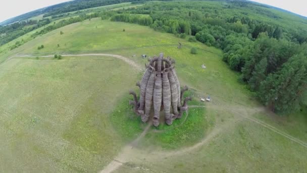 Objet paysage sur champ près de la forêt — Video