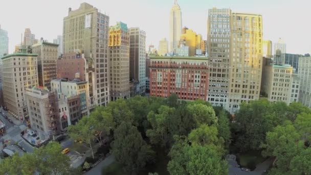 Ruch uliczny w pobliżu Madison Square Park — Wideo stockowe