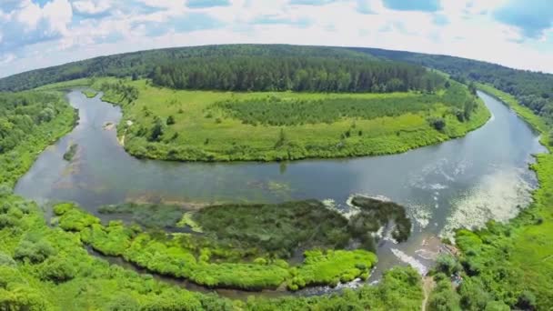 Krajina s řekou mezi lesní — Stock video