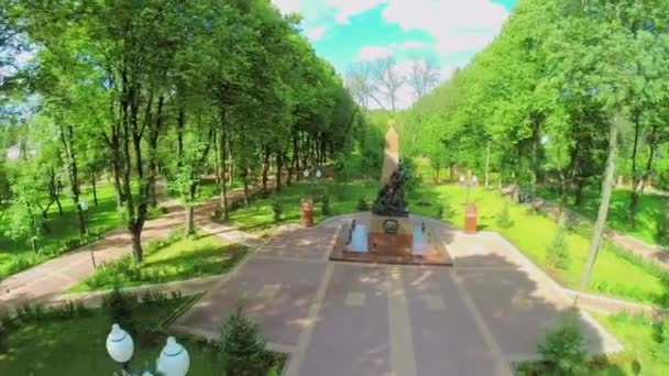 戦争の兵士の記念碑 — ストック動画