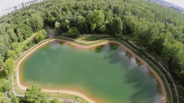 Teich zwischen Pflanzen im Park sokolniki — Stockvideo