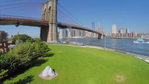 Çim çayır East River shore üzerinde — Stok video