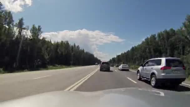 Trânsito rodoviário, ao longo da floresta à beira da estrada — Vídeo de Stock