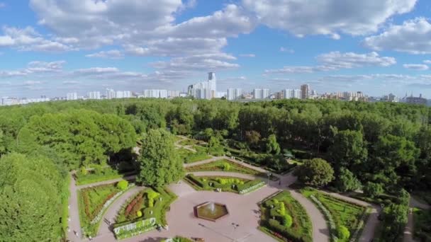 Stadsbild med rosenträdgård — Stockvideo
