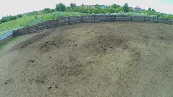 Femme en chapeau de cow-boy près du paddock — Video