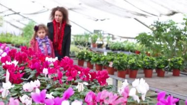 Anne ve kızı çiçekler arasında yürümek