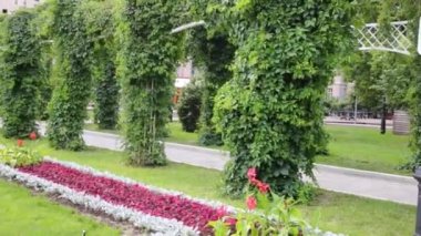 Hedges, çiçek yatak ve sahne arasında çim Park