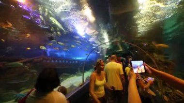 Koridor Oceanarium, insanlarda